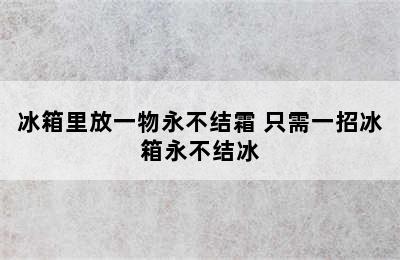 冰箱里放一物永不结霜 只需一招冰箱永不结冰